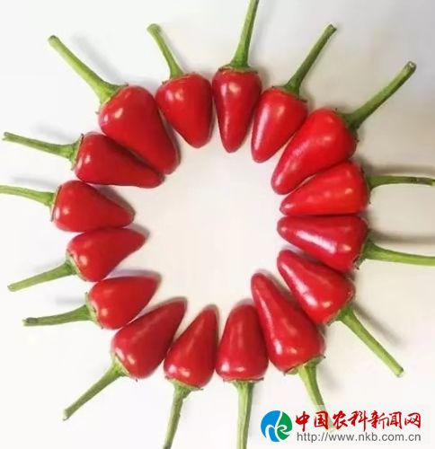 微信图片_201910120859104