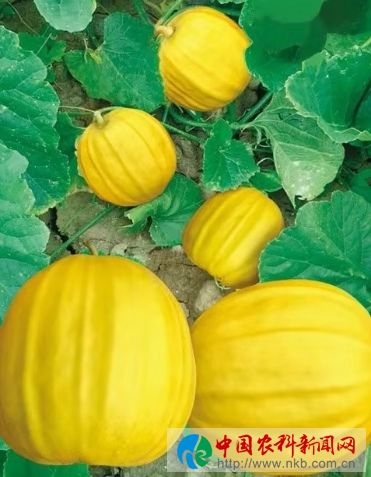 微信图片_201910120859108