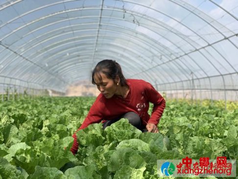 榆阳区房家沟村：省级贫困村的华丽蜕变