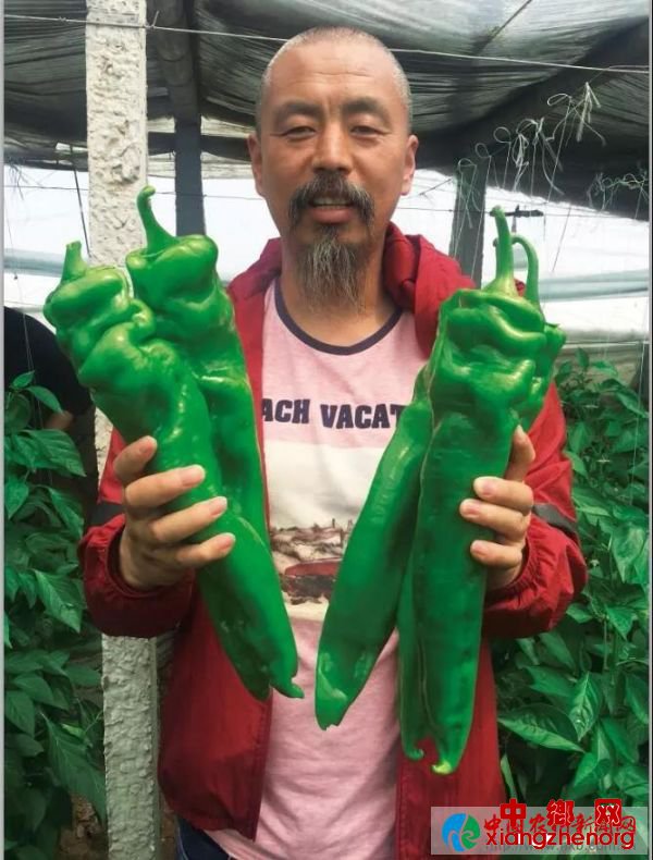 中8