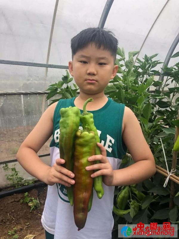 中3