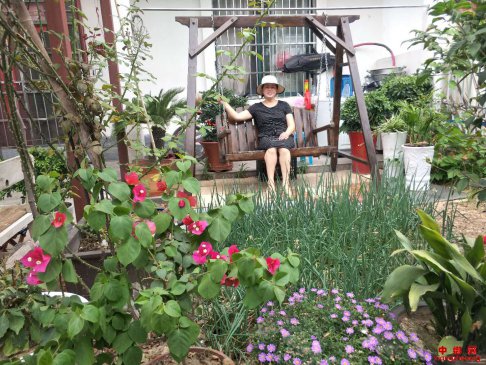 安徽西二铺乡：文化扶贫新乐章