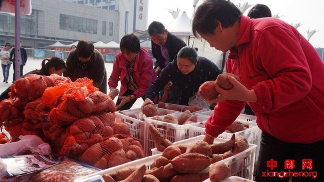 安徽颍东：展销扶贫农产品