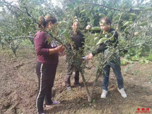 <b>陕西：塬区党旗格外红</b>