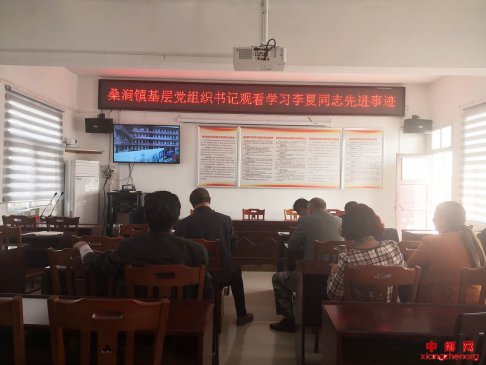 安徽：定远县桑涧镇组织基层党总支书记收看《生如夏花》
