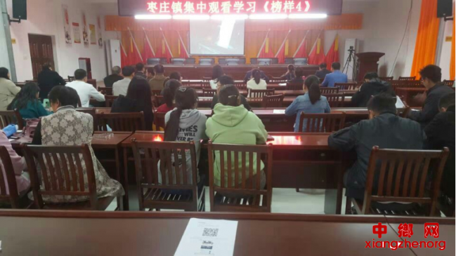 <b>枣庄镇党政干部集中观看学习电视专题片《榜样4》</b>