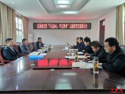 安徽龙扬：举行主题教育集中学习研讨