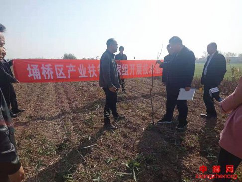 <b>科技专家送科技下乡，现场指导果树管理</b>