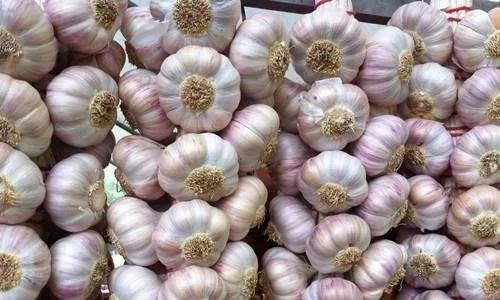 微信图片_20191106110840