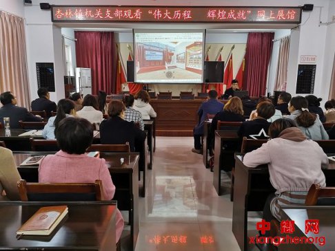 陕西渭南市华州区杏林镇：集中观看“伟大历程 辉煌成就”网上展馆