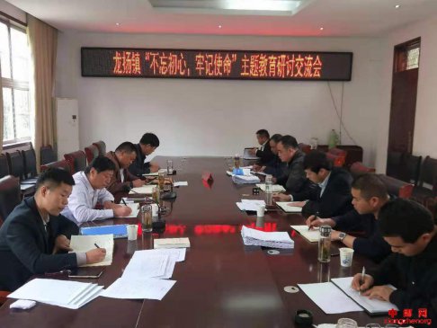 <b>安徽龙扬：举行主题教育集中学习研讨</b>