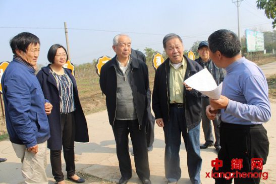 安徽省阜阳市：田间地头技术指导