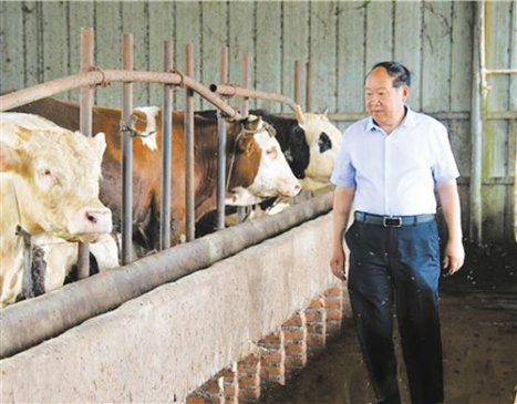 “共产党员的初心使命不能丢”——追记河南周口市沈丘县付井镇马堂村党支部