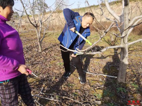 <b>陕西：深冬地头忙指导  脱贫攻坚劲头足</b>