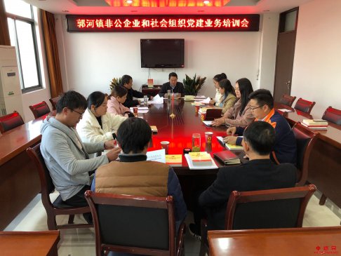 安徽庐江：郭河镇召开非公企业和社会组织党建业务培训会
