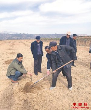 陕西乾县 “千亩花椒园”助力精准扶贫