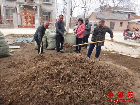 安徽：特色产业 助农增收