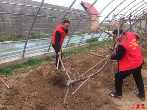 <b>安徽：种植绿色希望 践行初心使命</b>