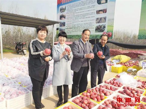 <b>站在新的历史起点上的陕西果业</b>