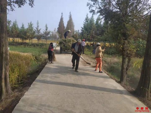 安徽庐江：郭河镇集中开展公路沿线环境卫生整治行动