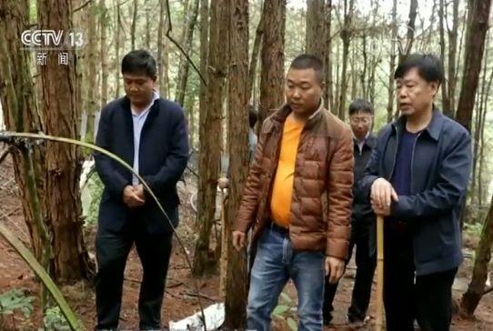 点击进入下一页