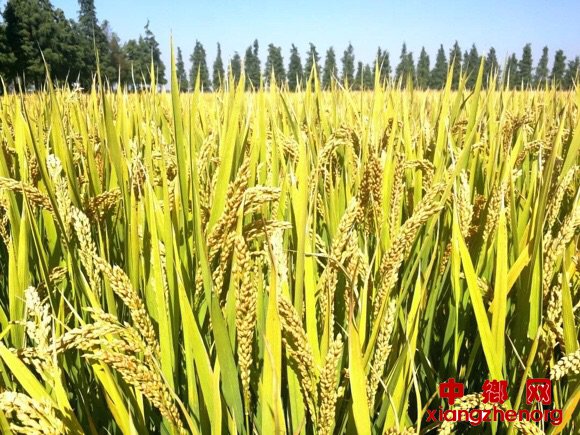 1202_110051_297.jpg 2019.12.2.2.jpg