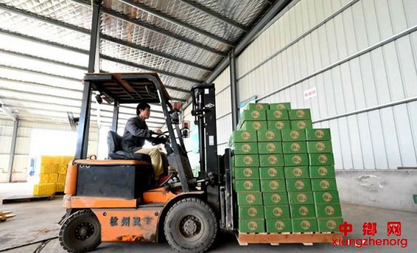 <b>周至猕猴桃今年网销4939.85万件 “电商+产业+扶贫” 探出新路子</b>