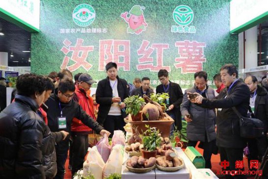 第三届中国甘薯产业博览会在洛阳举行