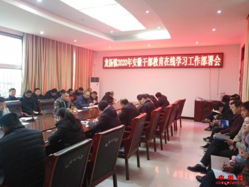 <b>安徽龙扬：扎实开展干部教育在线学习工作</b>