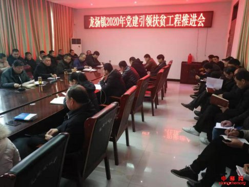 <b>安徽龙扬：“三注重” 扎实做好党建引领扶贫工程</b>