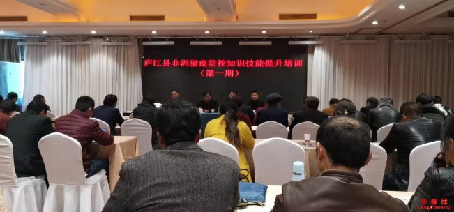<b>安徽省罗河镇开展非洲猪瘟科普宣传活动</b>