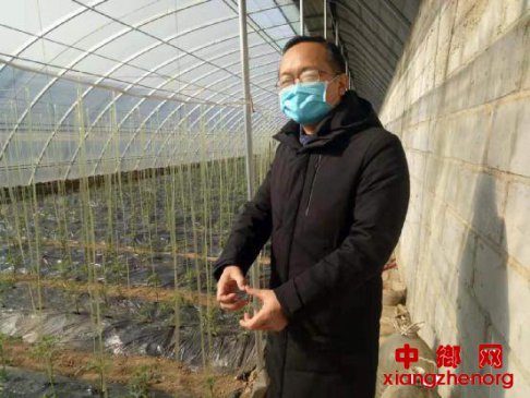 <b>陕西华州区杏林镇：疫情防控和产业发展两不误</b>