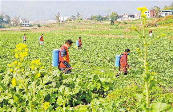 不误农时忙春耕