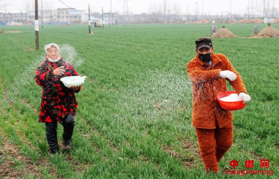 <b>安徽颍东：防疫不误忙田管</b>