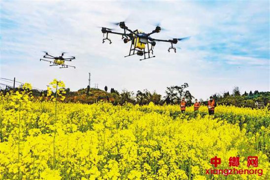 无人机高效植保