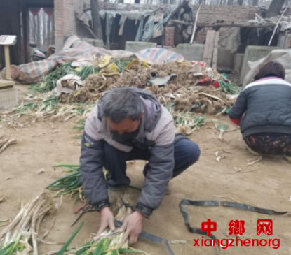 <b>春绿捆捆一点白</b>