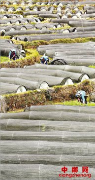 驻村第一书记在一线(统筹抓好改革发展稳定各项工作)