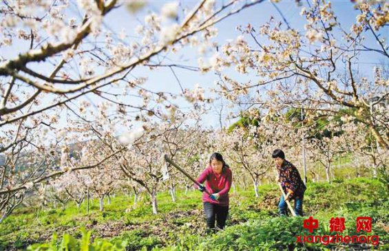 春回大地耕作忙