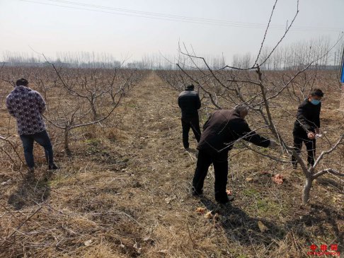 <b>安徽龙扬：复耕复产助脱贫攻坚</b>