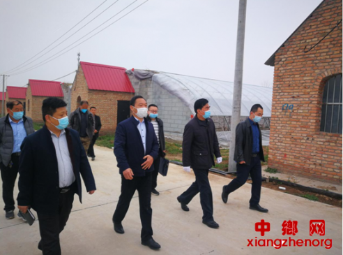 陕西华州区杏林镇：区委副书记蒋会海检查杏林镇扶贫产业复工复产工作