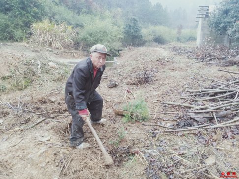 <b>安徽省殷汇镇“一户一方案”助力贫困户精准脱贫</b>