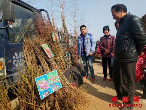 <b>山东郯城：植树好时节迎来一派生机</b>