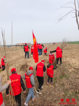 安徽省东刘集镇志愿者积极参与植树造林工作