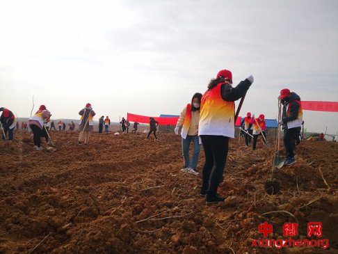 <b>安徽省定远县桑涧镇开展植树节新时代文明实践志愿服务活动</b>