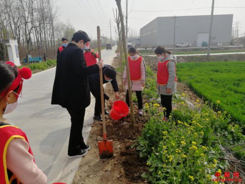 安徽省赵桥乡：党民同心，绿色植树