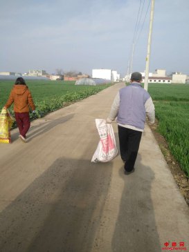 安徽省西二铺乡：战“疫”情“稳”脱贫