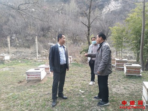<b>陕西杏林镇：勤劳小飞侠 开辟致富新天地</b>