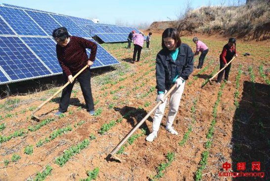<b>石头窉改造成聚宝盆</b>