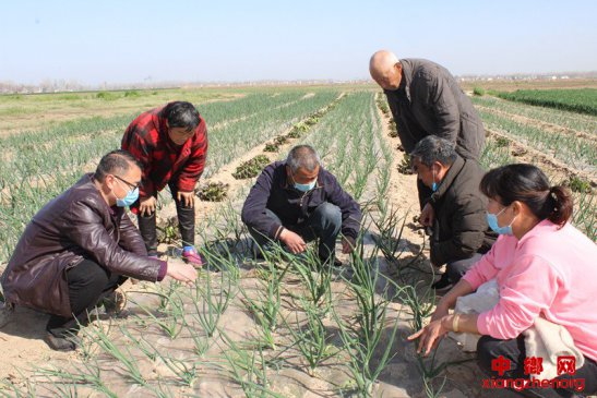 农技服务送田间