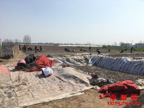 <b>安徽：脱贫产业发展“不掉队”</b>